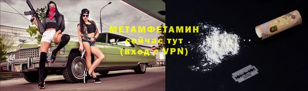 индика Гусь-Хрустальный